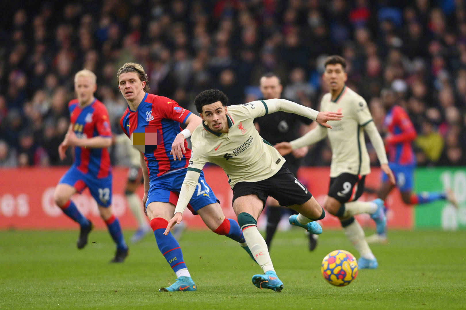 的完美例证 的完美例证